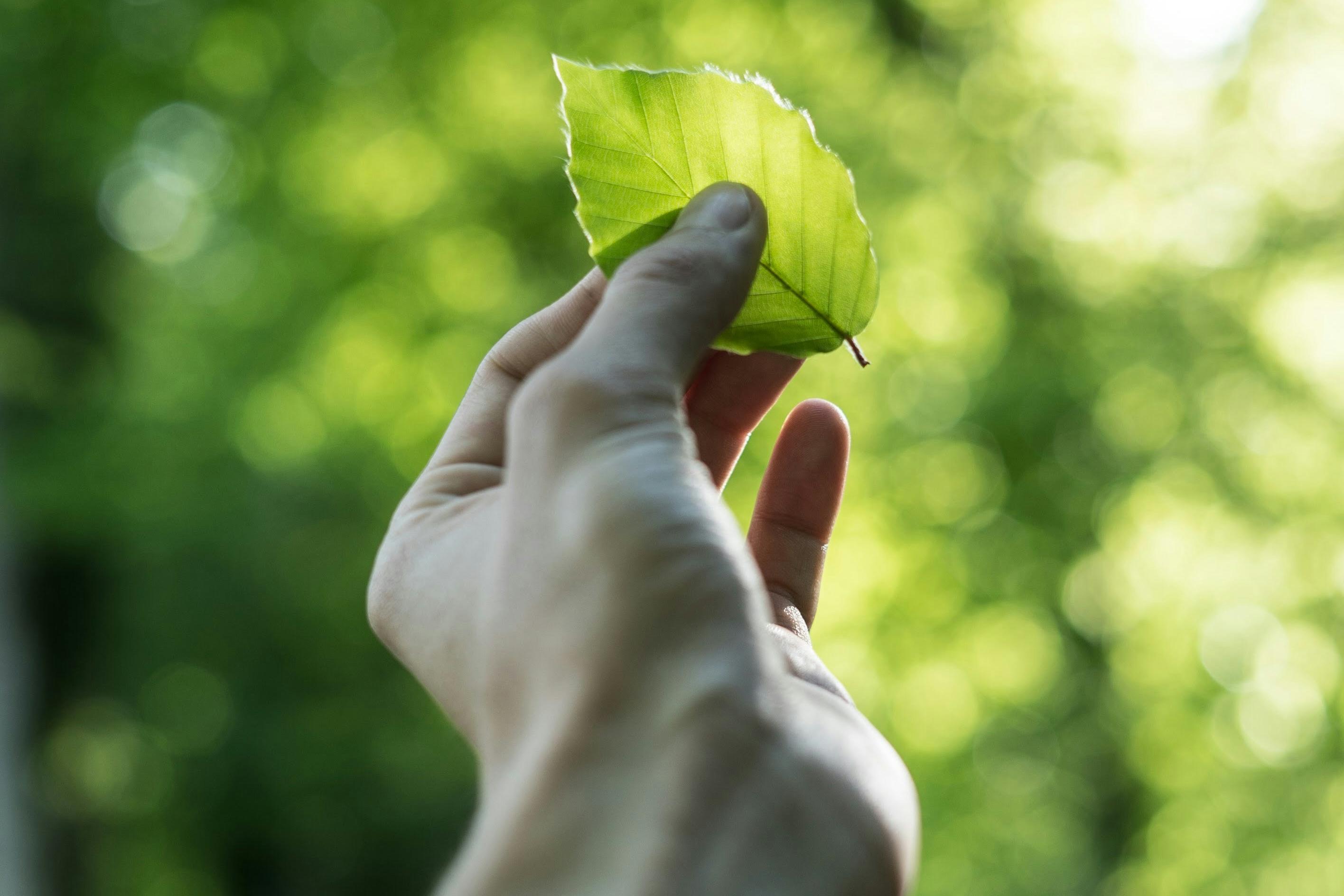聚苯乙烯压实机：可靠的泡沫减容处理设备